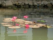 Click for large version