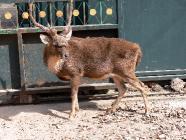 Click for large version