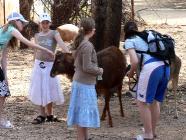 Click for large version