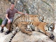 Click for large version