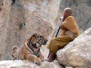 Click for large version