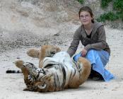 Click for large version