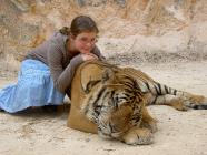 Click for large version