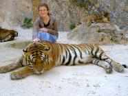 Click for large version