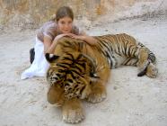 Click for large version