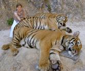 Click for large version