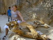 Click for large version