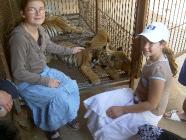 Click for large version