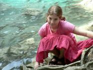 Click for large version