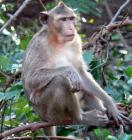 Click for large version