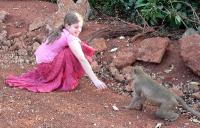 Click for large version