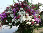 Click for large version