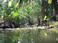 Click for large version