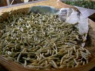 Click for large version