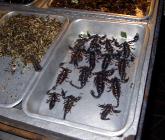 Click for large version