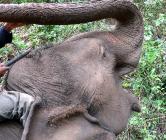 Click for large version