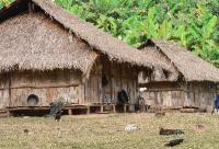 Click for large version