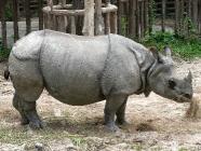 Click for large version