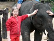 Click for large version