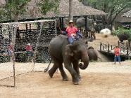 Click for large version