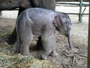 Click for large version