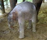 Click for large version