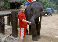 Click for large version