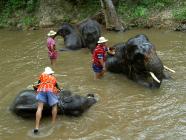 Click for large version