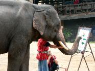 Click for large version