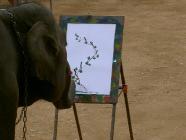 Click for large version