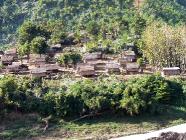 Click for large version