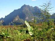 Click for large version