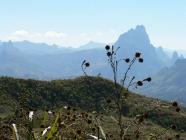 Click for large version