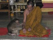 Click for large version