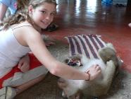 Click for large version