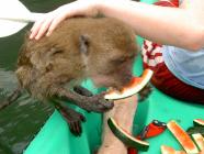 Click for large version